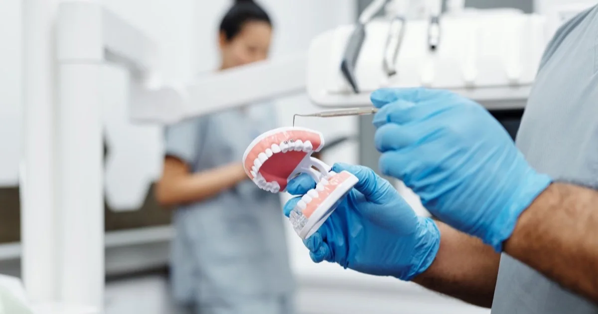 Dentist holding a dental model and an instrument