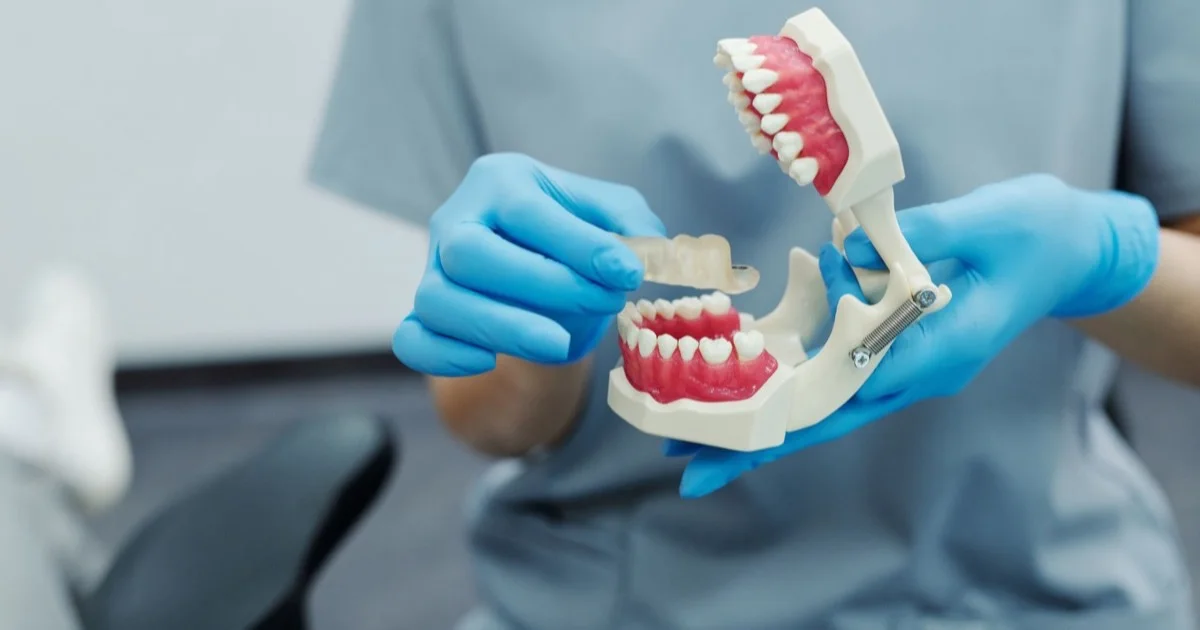 Dentist explaining the bite on a dental model