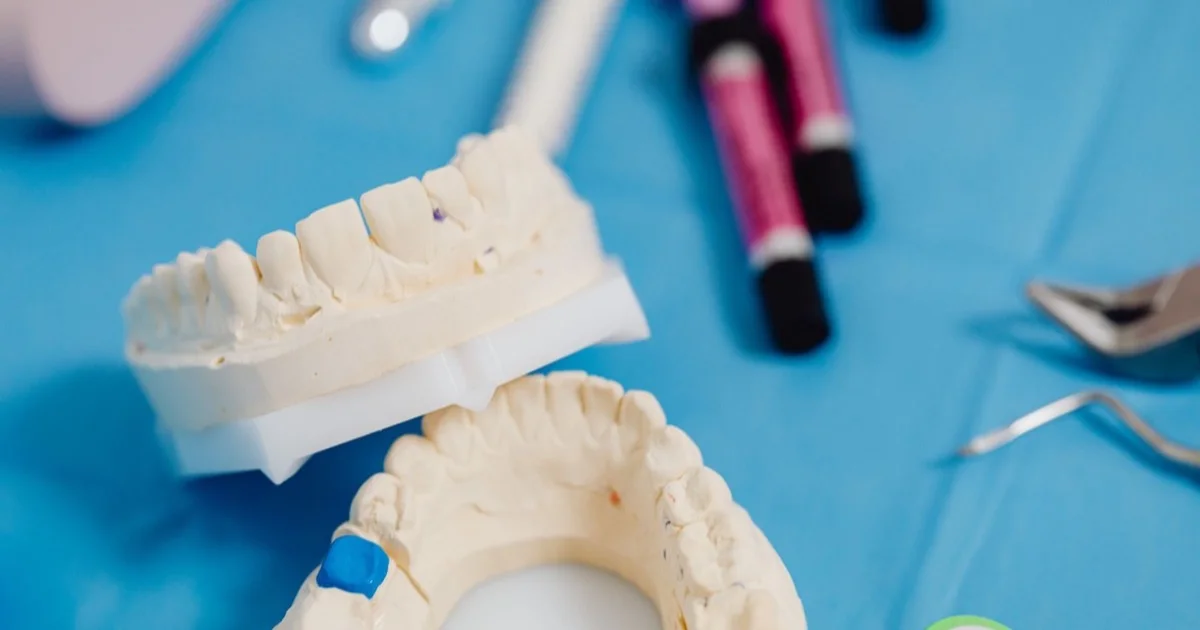 Jaw model and dental instruments
