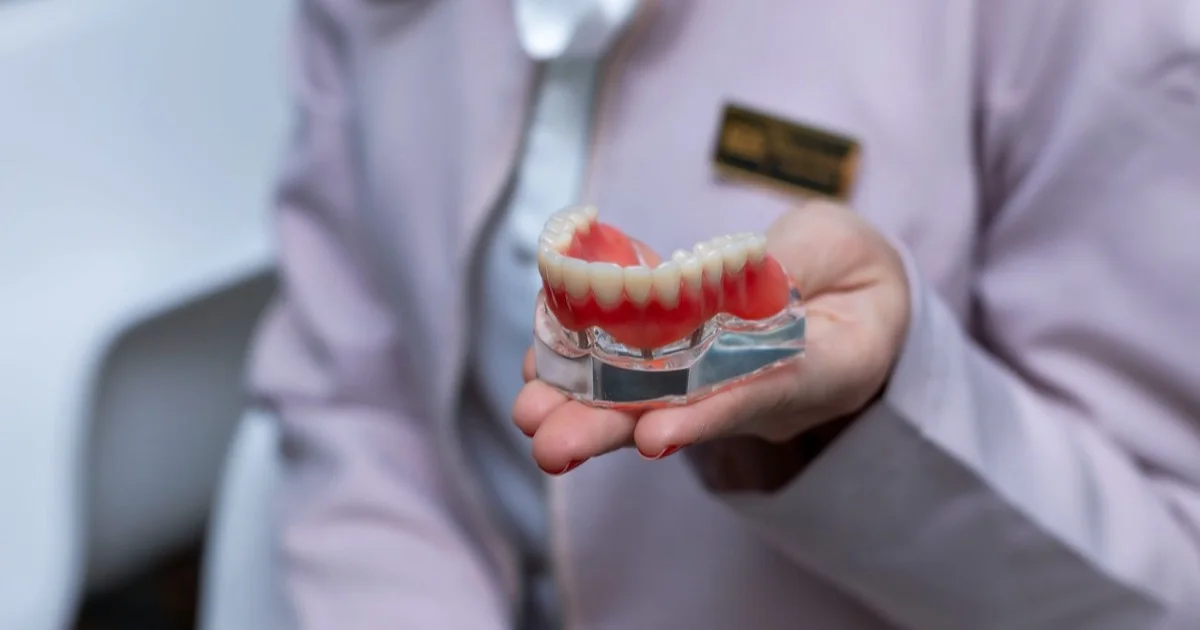 Dentist holding a dental model in their hand