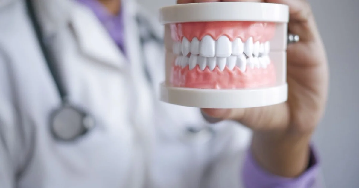 Dentist holding a dental prosthesis in their hand